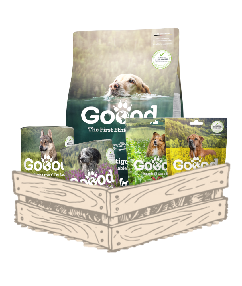 OFFRE D'ESSAI : Pack Découverte!